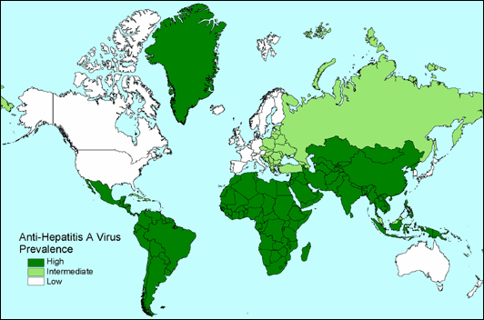 Map 4-4. Geographic distribution of Hepatitis A prevalence, 2005