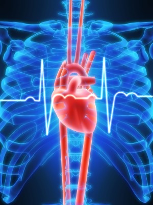 German Researchers Discover Heart Attack Gene-8098