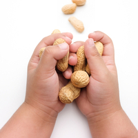 New study suggests peanut allergy treatment could be on the horizon-0007