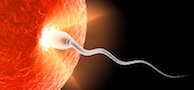 infertility guide