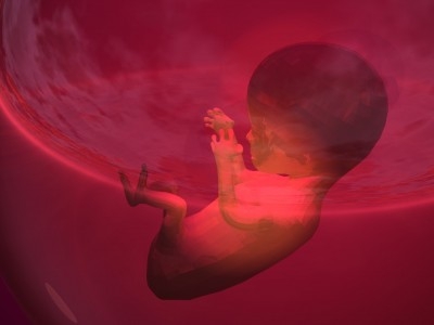 Texas Passes Sonogram Bill-6665