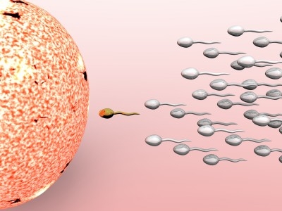 Breakthrough in Male Infertility? -0212