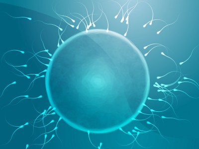 Male Infertility A Greater Problem Nowadays-5229