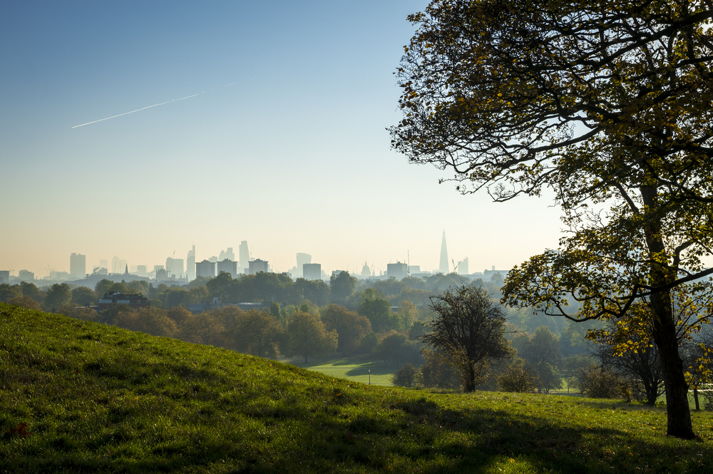 Green spaces improve quality of life by £34 billion, charity reveals-5926