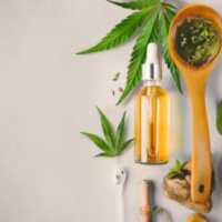 CBD Product Applications Closed by the FSA in the UK