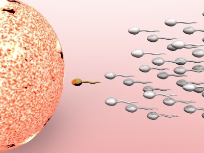 New Potential Male Infertility Cure On The Horizon-8735