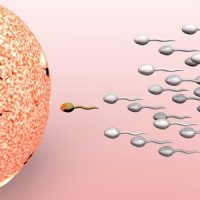 Genes linked to Infertility -3047