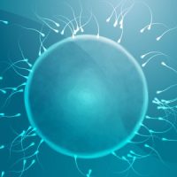 Infertility Risk for Women with STDs -6895