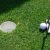 I Spy, a Golfing Surgery Phenomenon -7254