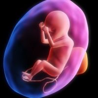 Arizona Passes Abortion Bill -6856