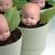 Growing Infertility Problem For China-4150