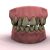 Gappy smile the new ‘must have’ accessory-9221