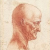 Can Baldness Kill You? The Link Between Hair Loss and Prostate Cancer-4055