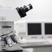 World Health Organisation Approves 15 Minute Ebola Test-8373