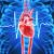 Expert Calls for Cardiac Screening in Athletes-3061