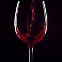 ‘No Safe Level of Drinking’ According to New Guidelines-9237