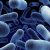 DNA Project Produces First Diagnoses for Children with ‘Mystery’ Illnesses-5068