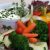 ‘Unhealthy Retirement’ Risk for the Middle Aged-7008