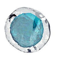 University of Edinburgh researchers grow human eggs in a laboratory for the first time-0270