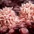 Scientists claim stem cell transplants could be a ‘game changer’ for MS sufferers-2629