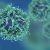 Research reveals an increase in weight-related cancer cases-7909