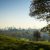 Green spaces improve quality of life by £34 billion, charity reveals-5926