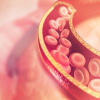 Regular exercise keeps the arteries young, new study reveals-0420