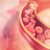 Regular exercise keeps the arteries young, new study reveals-0420
