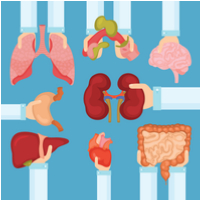 Ministers propose plans to introduce opt-out organ donation in England by 2020-5151