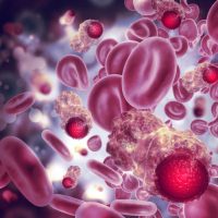 New report suggests obesity will be the leading cause of cancer cases in women by 2043-8544