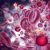 New report suggests obesity will be the leading cause of cancer cases in women by 2043-8544