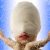 Is Teenager Cosmetic Surgery Linked To Bullying?-8058
