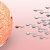 Male Infertility A Bigger Problem Than Many Realise-9472